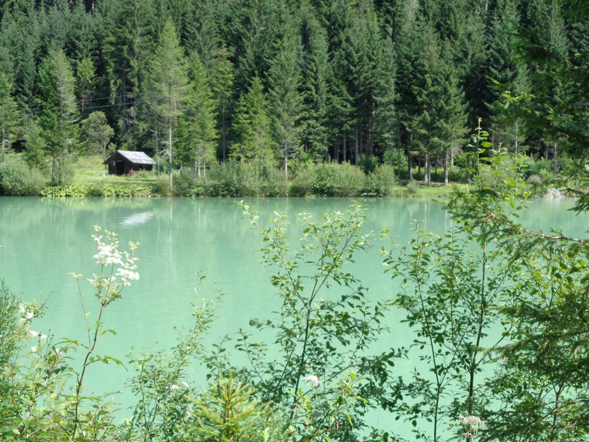 Ferienhaus Lechnerhof Schladming Luaran gambar