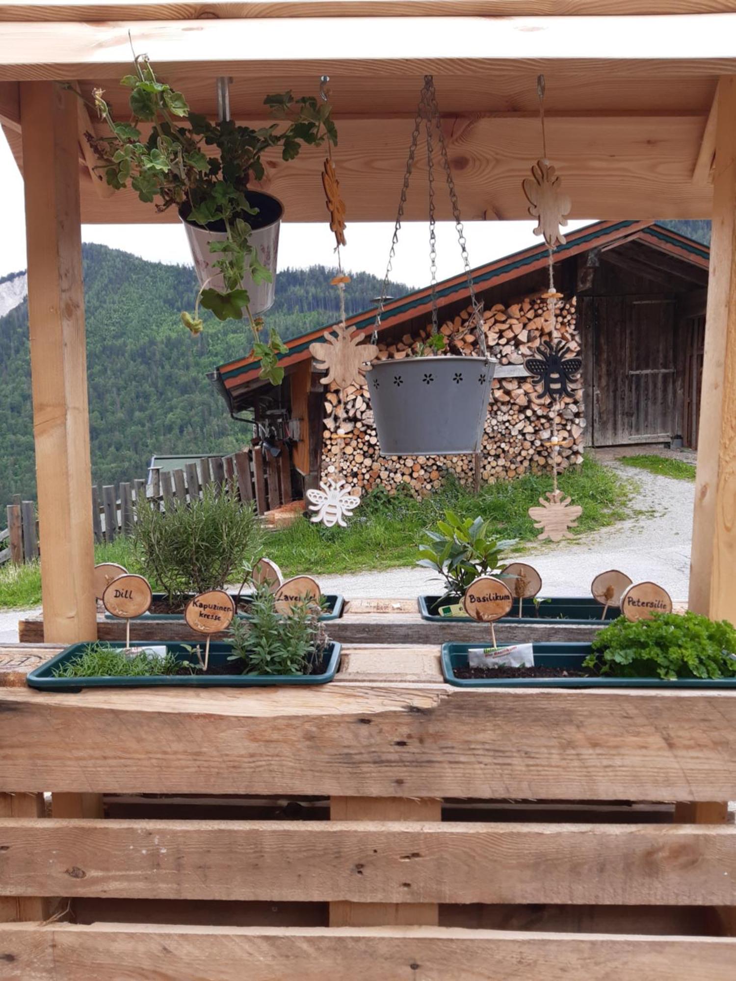 Ferienhaus Lechnerhof Schladming Luaran gambar