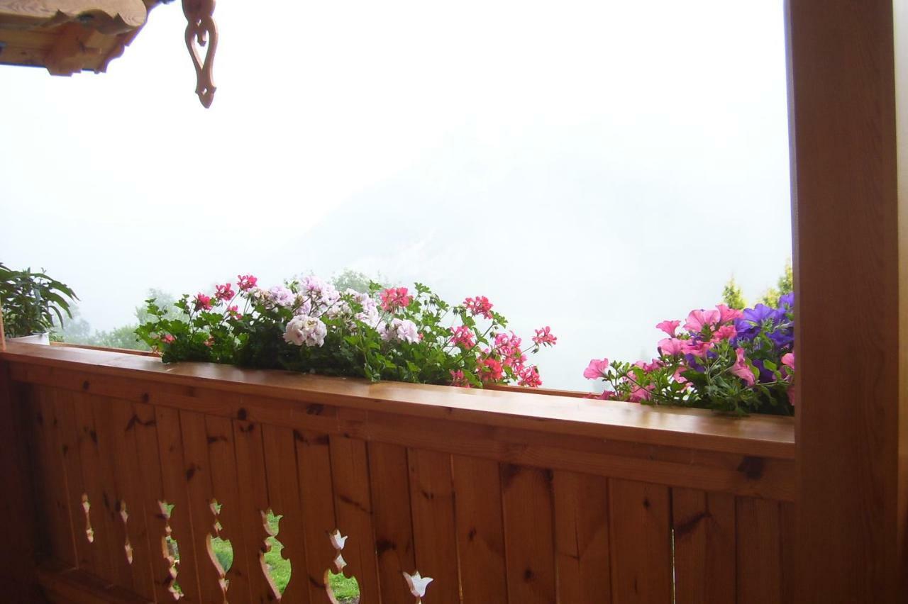Ferienhaus Lechnerhof Schladming Luaran gambar